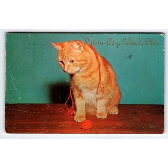 Vintage Put-in-Bay Ohio Cat Postcard 'Don't Give Me That Yarn' Litho - Picture 1 of 2